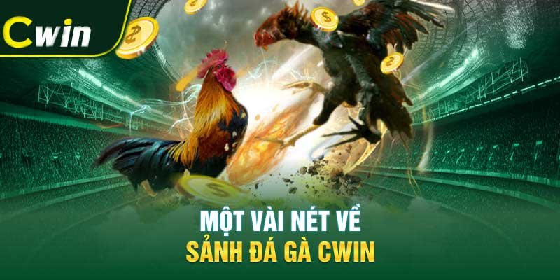 Đá Gà Cwin - Sân Chơi Đẳng Cấp Cho Anh Em