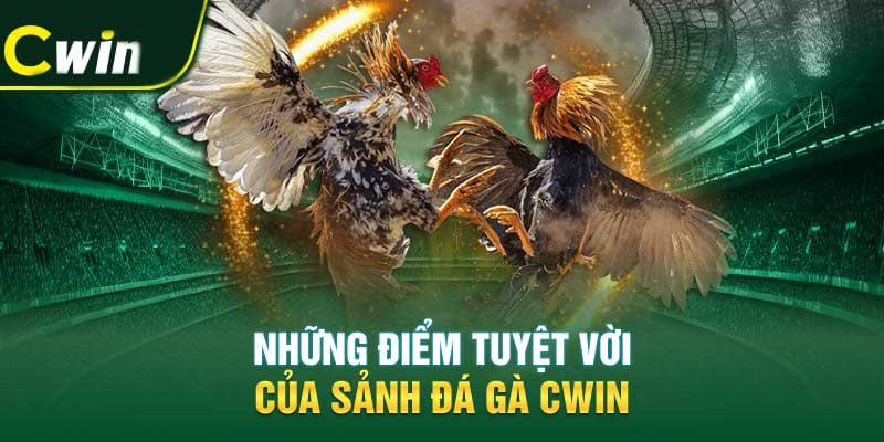 Những điểm tuyệt vời của sảnh đá gà Cwin