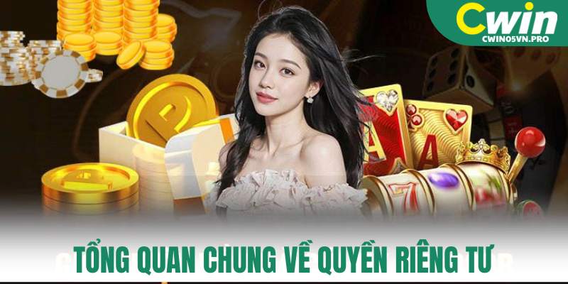 Tổng quan chung về quyền riêng tư